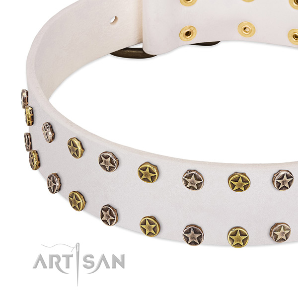 Unusual studs on full grain natural leather collar for your doggie