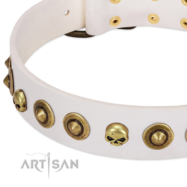 Unique studs on genuine leather collar for your doggie