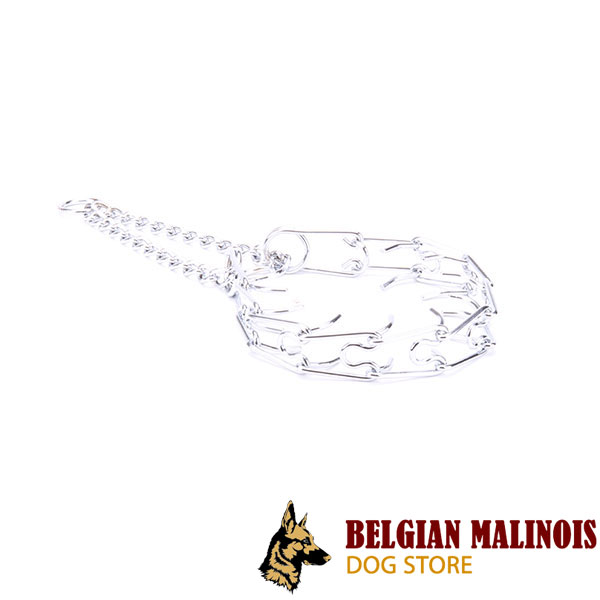 Chrome plated dog pinch collar for disobedient dogs