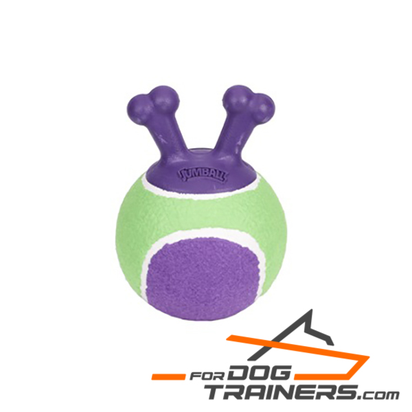 Green and purple dog ball