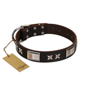 "Satin Beauts" FDT Artisan Brown Leather Belgian Malinois Collar with Stars and Plates