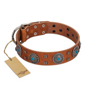 "Blue Sands" FDT Artisan Tan Leather Belgian Malinois Collar with Silver-like Studs and Round Conchos with Stones