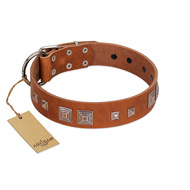 "Egyptian Gifts" Handmade FDT Artisan Tan Leather Belgian Malinois Collar with Chrome-plated Pyramids