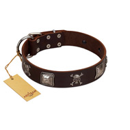 "Nut-Brown Finery" Embellished FDT Artisan Brown Leather Belgian Malinois Collar with Chrome Plated Crossbones and Plates