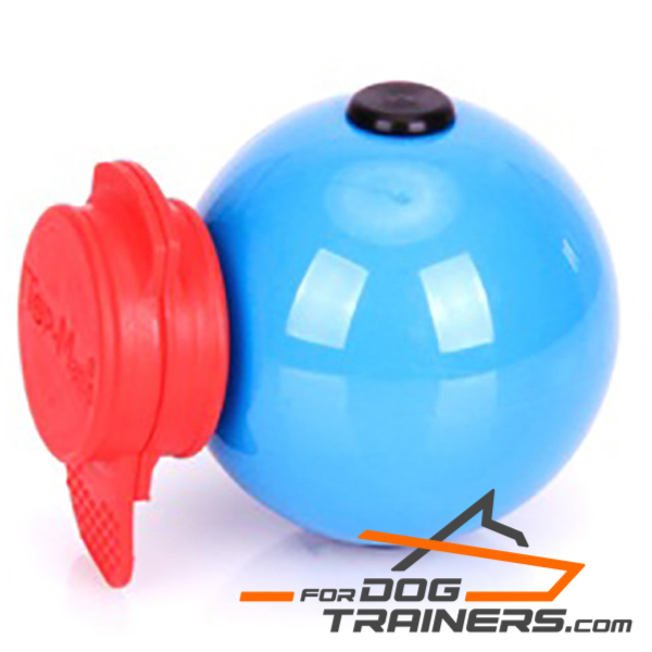 Nice dog ball for Training