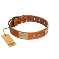 "Ancient Treasures" FDT Artisan Tan Leather Belgian Malinois Collar with Antiqued Plates and Studs
