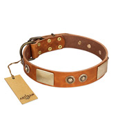 "Perfect Blend" FDT Artisan Tan Leather Belgian Malinois Collar 1 1/2 inch (40 mm) wide