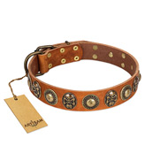 "Golden Epoch" FDT Artisan Tan Leather Belgian Malinois Collar with Old Bronze-plated Medallions and Conchos