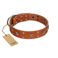 "Faraway Galaxy" FDT Artisan Tan Leather Belgian Malinois Collar Adorned with Stars and Squares