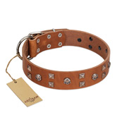 "Enchanted Skulls" FDT Artisan Tan Leather Belgian Malinois Collar with Chrome Plated Skulls
