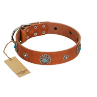 "Marine Antiques" Handmade FDT Artisan Tan Leather Belgian Malinois Collar with Blue Stones