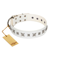 "Fashion Star" FDT Artisan White Leather Belgian Malinois Collar with Silver-Like Engraved Plates and Stars