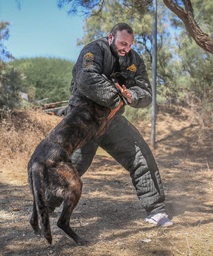 belgian malinois best protection bite suits FDT black