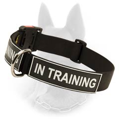 Belgian Malinois Various Patches Nylon Cool Collar