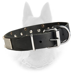 Leather Belgian Malinois Dog Collar With Nickel Covered  Hardware And Metal Decoration
