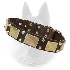 Fantastic Leather Belgian Malinois Dog Collar With  Brass Plates And 2 Nickel Pyramids Between Them
