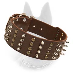 Stylish Wide Leather Belgian Malinois Dog Collar