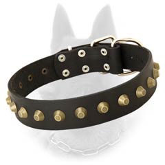 Belgian Malinois Breed Leather Collar Decorated with  Brass Pyramids
