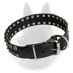 Belgian Malinois Buckled Dog Collar with Massive D-Ring  near Buckle