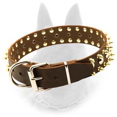 Belgian Malinois Buckled Leather Dog Collar Spiked  Equipped with Nickel Covered Fittings