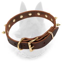 Belgian Malinois Buckled Leather Dog Collar Brown Equipped with Brass Fittings