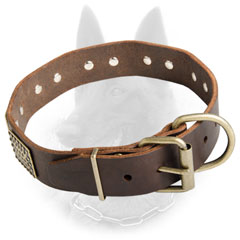 Belgian Malinois Buckled Leather Dog Collar with Riveted Brass Fittings