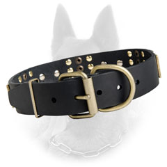 Belgian Malinois Leather Dog Collar with Riveted Brass Buckle and D-Ring