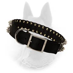 Belgian Malinois Buckled Nylon Dog Collar Equipped with  Nickel Covered Fittings