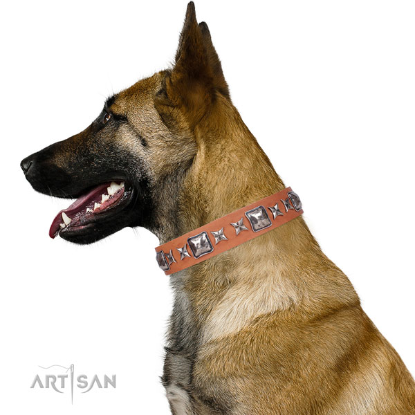 Fancy walking studded dog collar of durable material