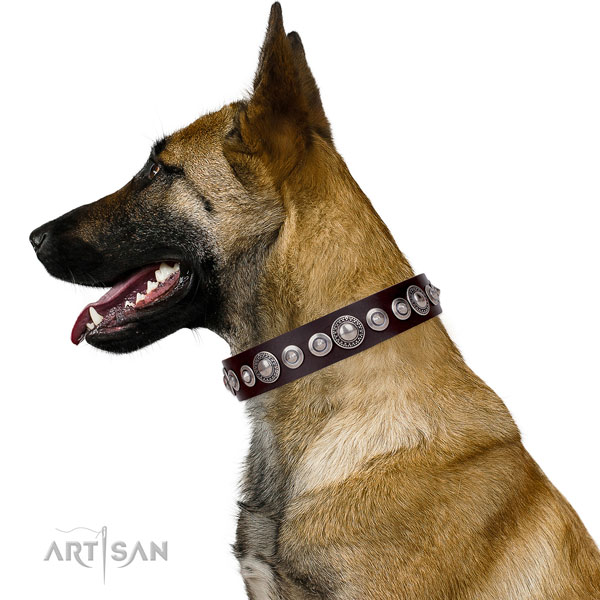 Designer adorned leather dog collar for walking