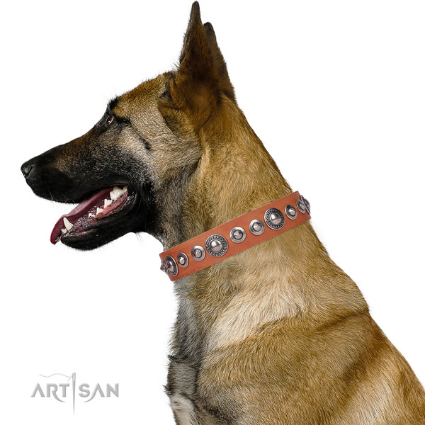 Stylish adorned leather dog collar for easy wearing