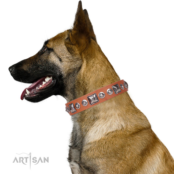 Trendy adorned leather dog collar for fancy walking