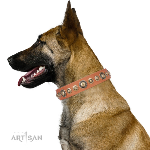 Reliable buckle and D-ring on leather dog collar for stylish walks