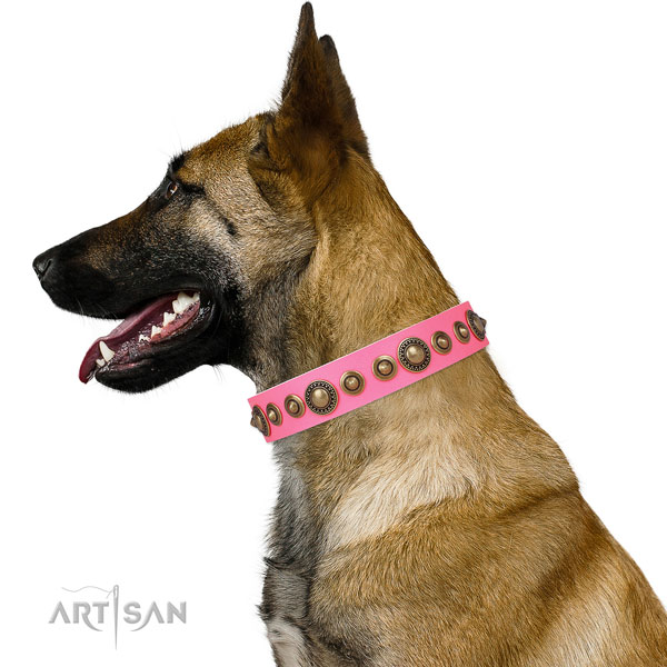 Corrosion proof buckle and D-ring on natural leather dog collar for stylish walks