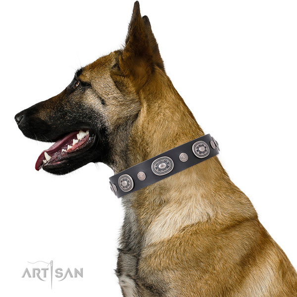Strong buckle and D-ring on genuine leather dog collar for daily use
