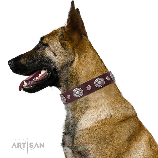 Rust-proof buckle and D-ring on leather dog collar for everyday walking