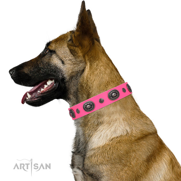 Genuine leather dog collar with rust resistant buckle and D-ring for stylish walking