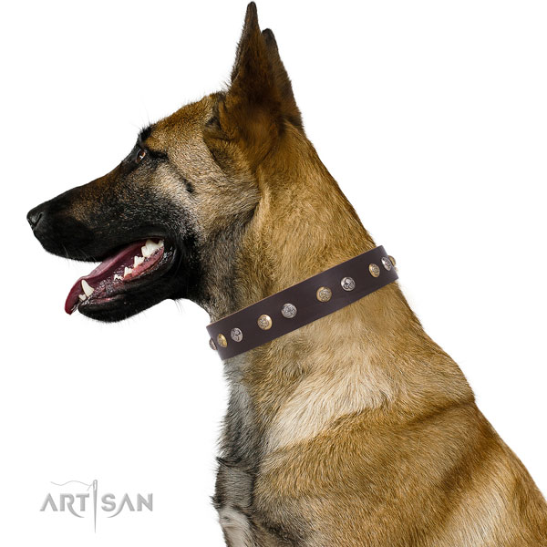 Full grain leather dog collar with corrosion resistant buckle and D-ring for comfortable wearing