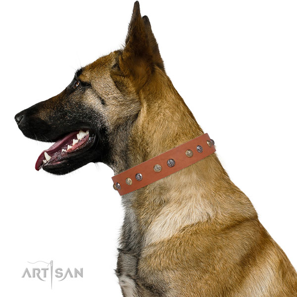 Genuine leather dog collar with strong buckle and D-ring for daily use