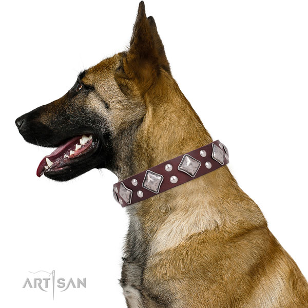 Comfortable wearing decorated dog collar made of high quality natural leather