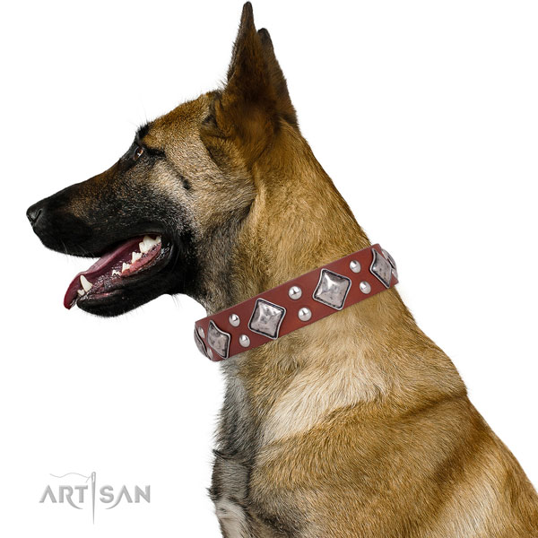 Stylish walking decorated dog collar made of best quality leather