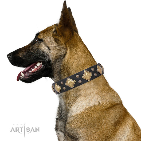 Everyday walking decorated dog collar made of top notch natural leather