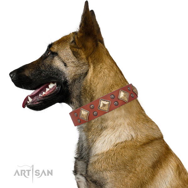 Everyday walking studded dog collar made of reliable natural leather