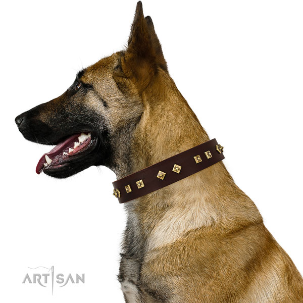 Incredible adornments on daily walking full grain natural leather dog collar