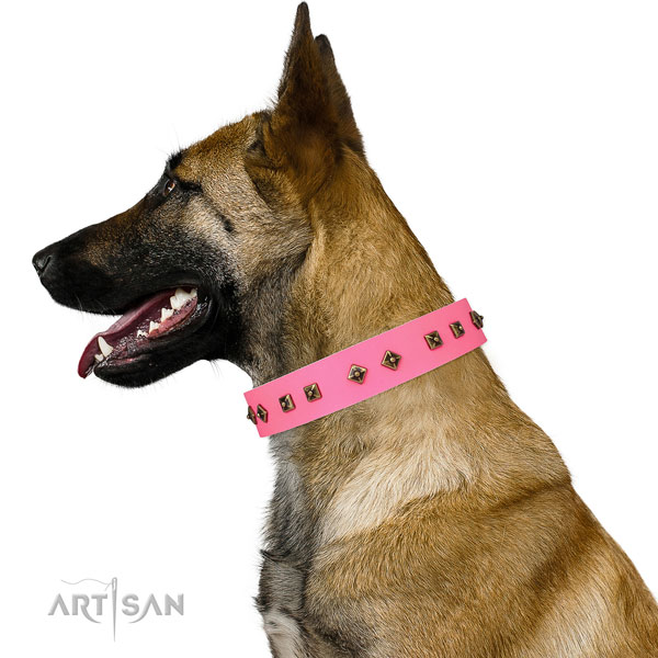 Unusual embellishments on daily walking dog collar
