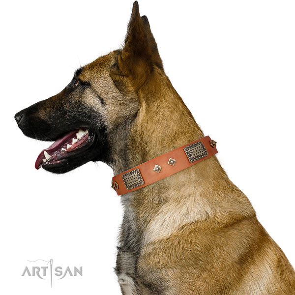 Handy use dog collar of leather with extraordinary studs