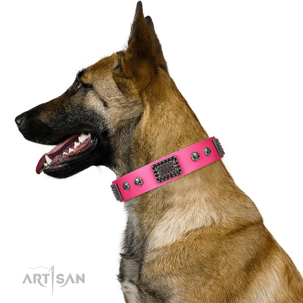 Impressive natural leather collar for your lovely canine