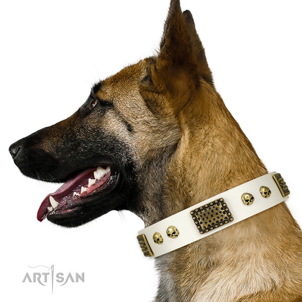 Strong fittings on leather dog collar for comfortable wearing