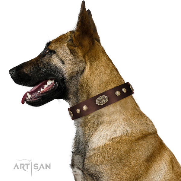 Corrosion resistant fittings on full grain natural leather dog collar for fancy walking