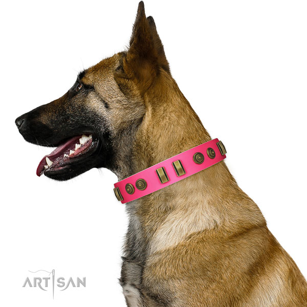 Stylish walking dog collar of genuine leather with extraordinary studs